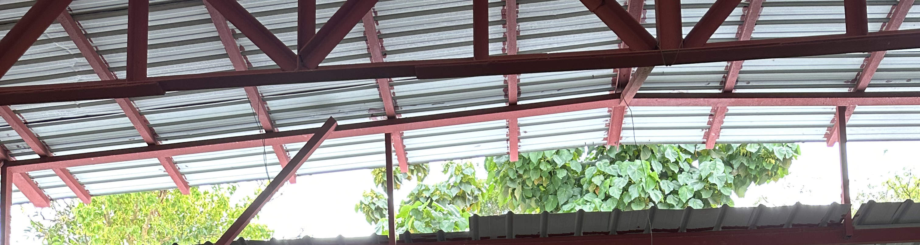 Activité familiale - Ferme Bunny Wonderland | Yuen Long